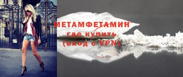 сатива Заполярный