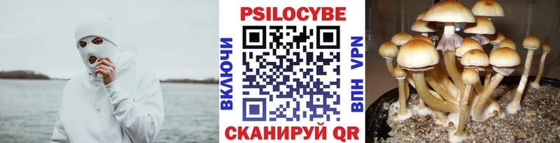 где можно купить   OMG ТОР  Галлюциногенные грибы Cubensis  Смоленск 