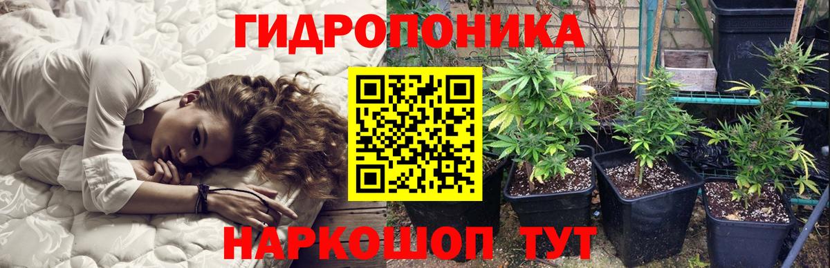 Конопля гибрид  Вход с VPN  Конопля OG Kush  Бошки марихуана семена  Смоленск 